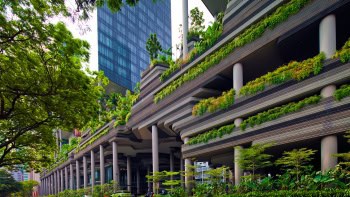 Eco-Friendly Hotels in Singapore - A Green Stay Experience